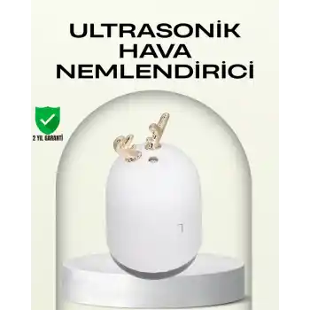 ABS+PP Malzemeli Taşınabilir 220 ml USB Mist Nemlendirici