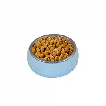 Mikopet Organik Seramik Mama Kabı Mavi