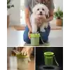 Taşınabilir Köpek Ayak Temizleme Atı Silikon Fırçalı