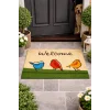 Esnature Chirp Birds Renkli Cıvıldıyan Kuşlar Kahverengi Welcome Kapı Önü Paspası 45x70 Cm