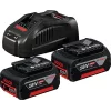 Bosch Professional Gbl 18V-120 Akülü Üfleyici Çift Akü 18V-5 Ah. 2x5 Ah Akü ve Hızlı Şarj Cihazı