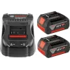 Bosch Promix Set Gbh 180-LI Kırıcı Delici  +Gsr 18-50 Akülü Vidalama Kömürsüz 18 V 5,0 Ah Çift Akü