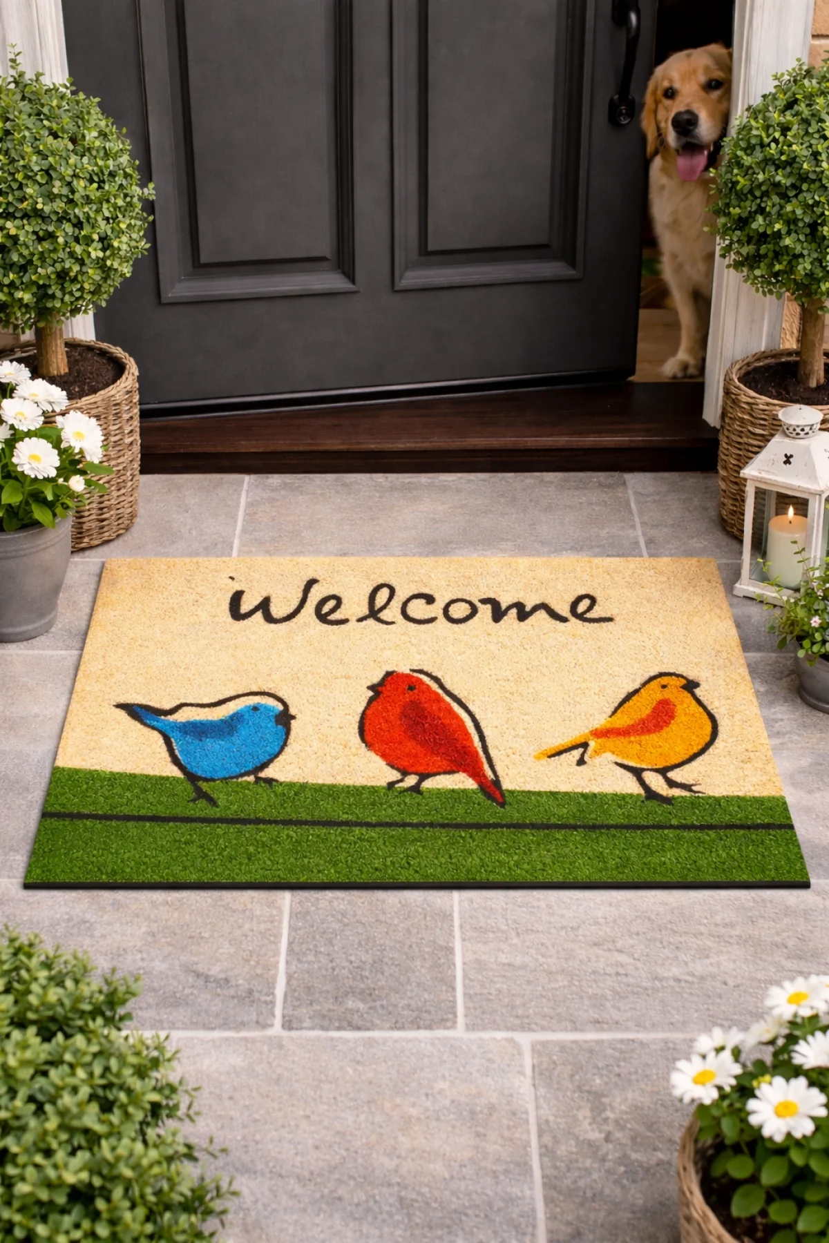 Esnature Chirp Birds Renkli Cıvıldıyan Kuşlar Kahverengi Welcome Kapı Önü Paspası 45x70 Cm