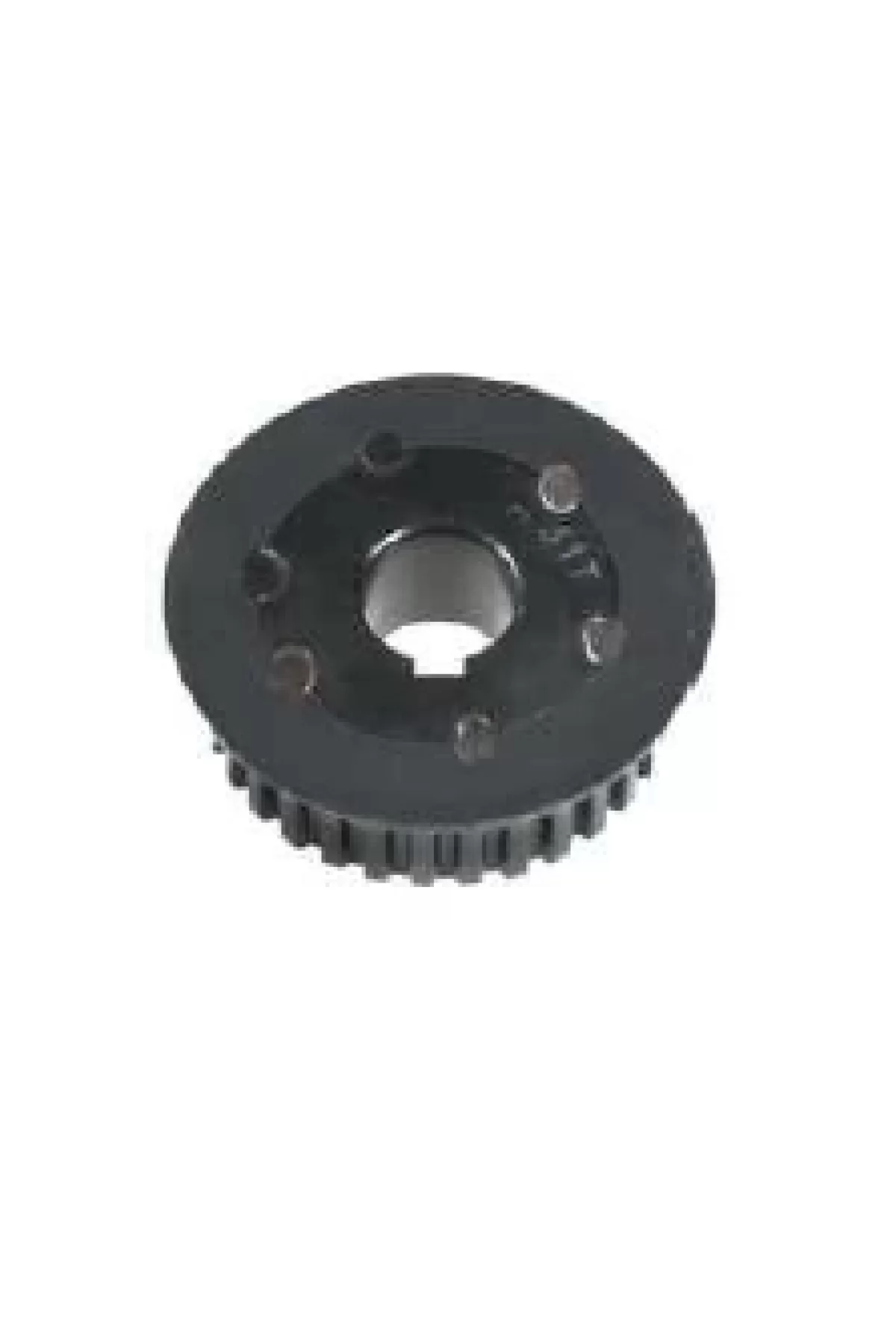 Lohia Timing Pulley 31T