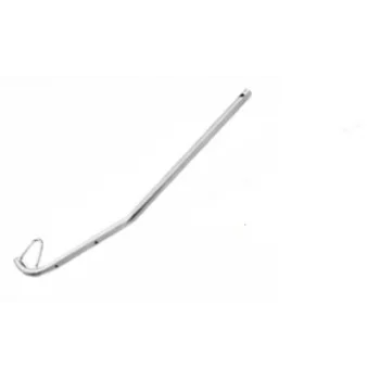 Lohia Insertion Fingerm