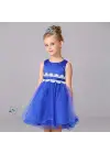 Karlar Ülkesi Elsa Mavi Kalpli Taç ve Mavi Asa Seti Çocuk Boy