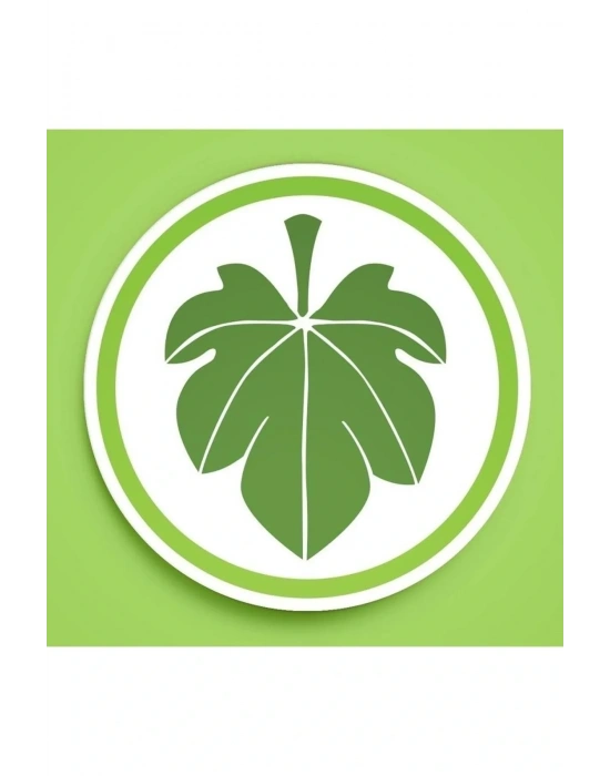 9226 Erkek Atlet Loose Fit - Beyaz - S