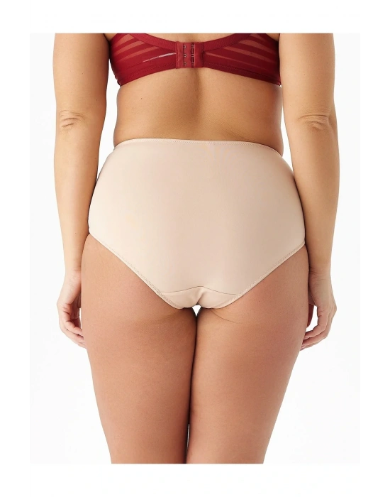 Aster Büyük Beden Çizgili Külot