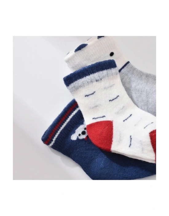 Biorganic Papyonlu Koala Erkek 3lü Çorap 68447 Lacivert