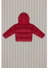 Erkek Bebek Kırmızı Bebek Mont