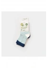 Hello Teddy Bear 2li Çorap 68404