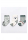 Koala 3lü Bebek Çorabı 68449
