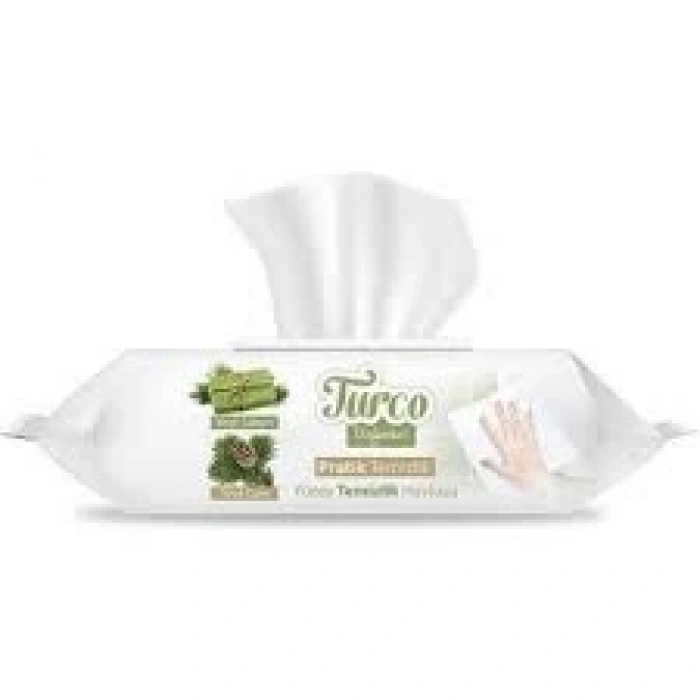 BABY TURCO YÜZEY MENDİLİ 100 LÜ *12