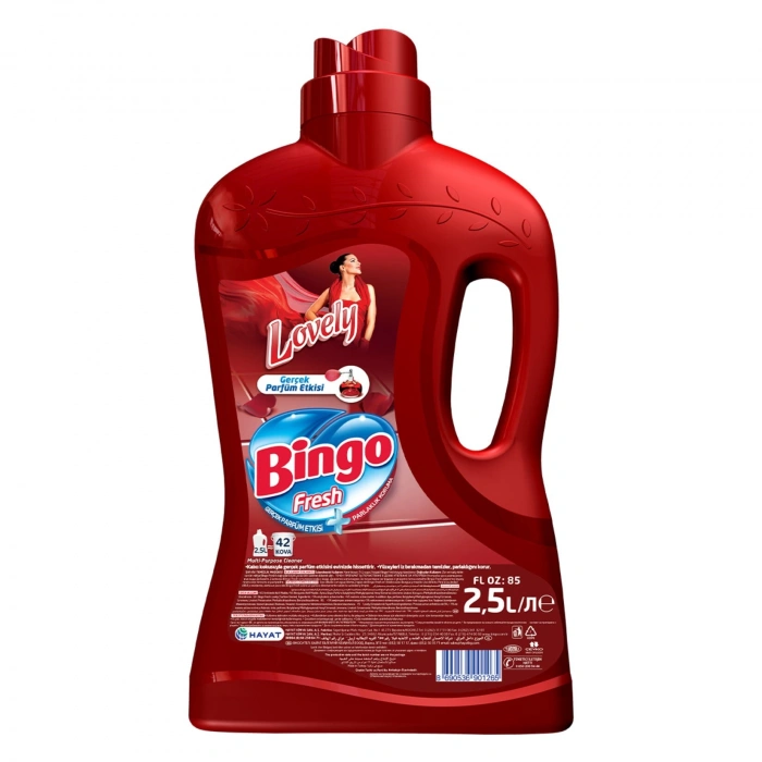 BİNGO YÜZEY 2,5 LT *6