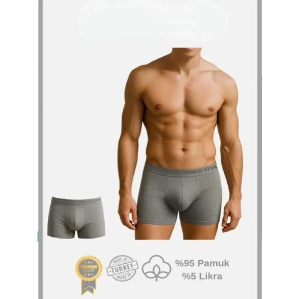 Arias Closet Pamuklu Düz Gri Renk Erkek Boxer