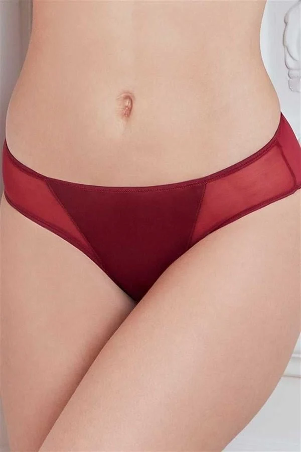 Kadın Mikro Kumaş Tüllü Slip (2778)