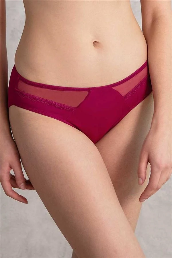 Kadın Mikro Kumaş Tüllü Slip (2779)