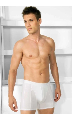 Arias Closet Erkek Modal Klasik Boxer