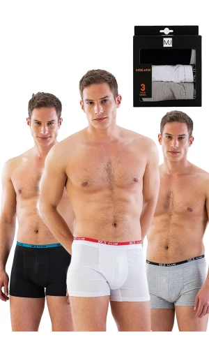Arias Closet MI Emay 6900 3lü Erkek Boxer