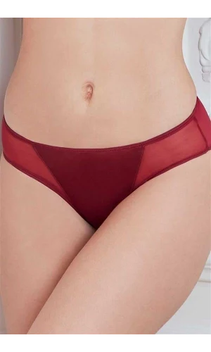 Kadın Mikro Kumaş Tüllü Slip (2778)
