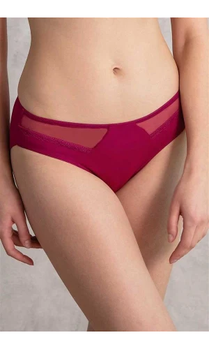 Kadın Mikro Kumaş Tüllü Slip (2779)