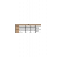 Arias Closet %100 Viskon Dantelli ve Dekolteli Saten Şort Takımı