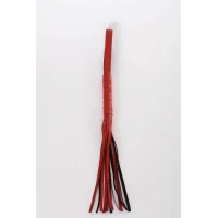 Arias Closet Kırmızı Kırbaç