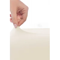 Çift Kişilik Düz Penye %100 Pamuklu Lastikli Çarşaf 160X200 Newsheet Ekru