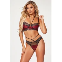 Arias Closet Bordo Dantel İşlemeli Fantezi Sütyen Külot Takımı