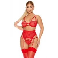 Arias Closet Fantezi File Tül Detaylı Kırmızı Jartiyer  Takım