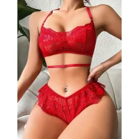 Arias Closet Kırmızı Dantel İşlemeli Fantezi Şık Sütyen Külot Takımı