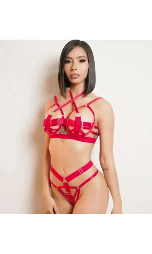 Arias Closet Kırmızı Sütyen Külot Harness Takım