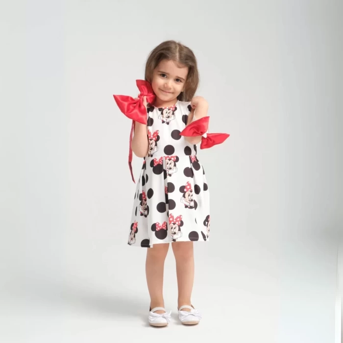 Minie Mouse Detaylı Doğum Günü Elbisesi