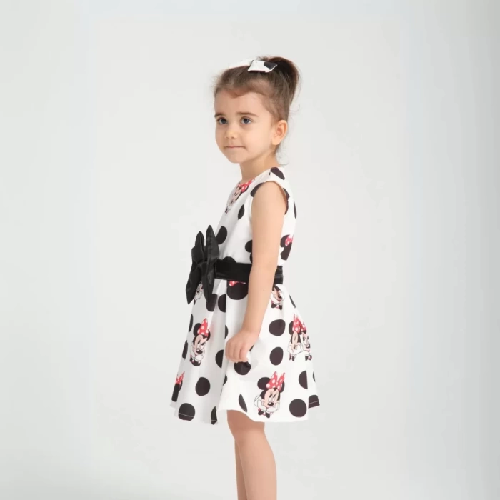 Minie Mouse Detaylı Doğum Günü Elbisesi