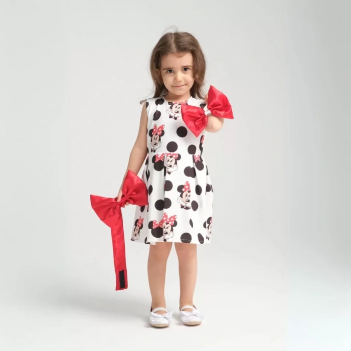Minie Mouse Detaylı Doğum Günü Elbisesi