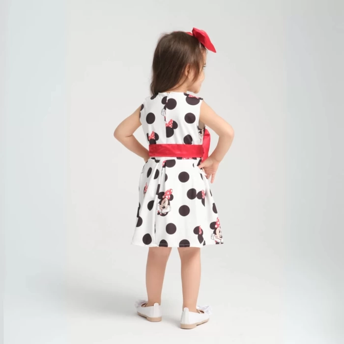Minie Mouse Detaylı Doğum Günü Elbisesi