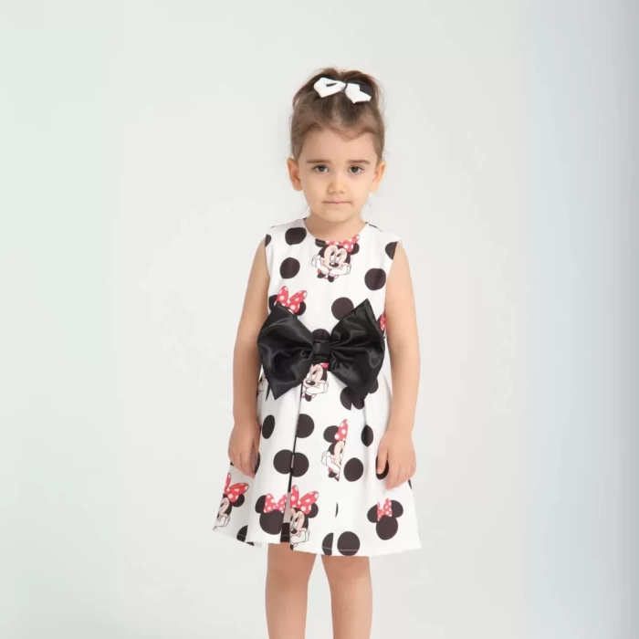 Minie Mouse Detaylı Doğum Günü Elbisesi