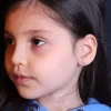 925 Ayar Gümüş Zirkon Taşlı Mini Kedi Model Civili Küpe