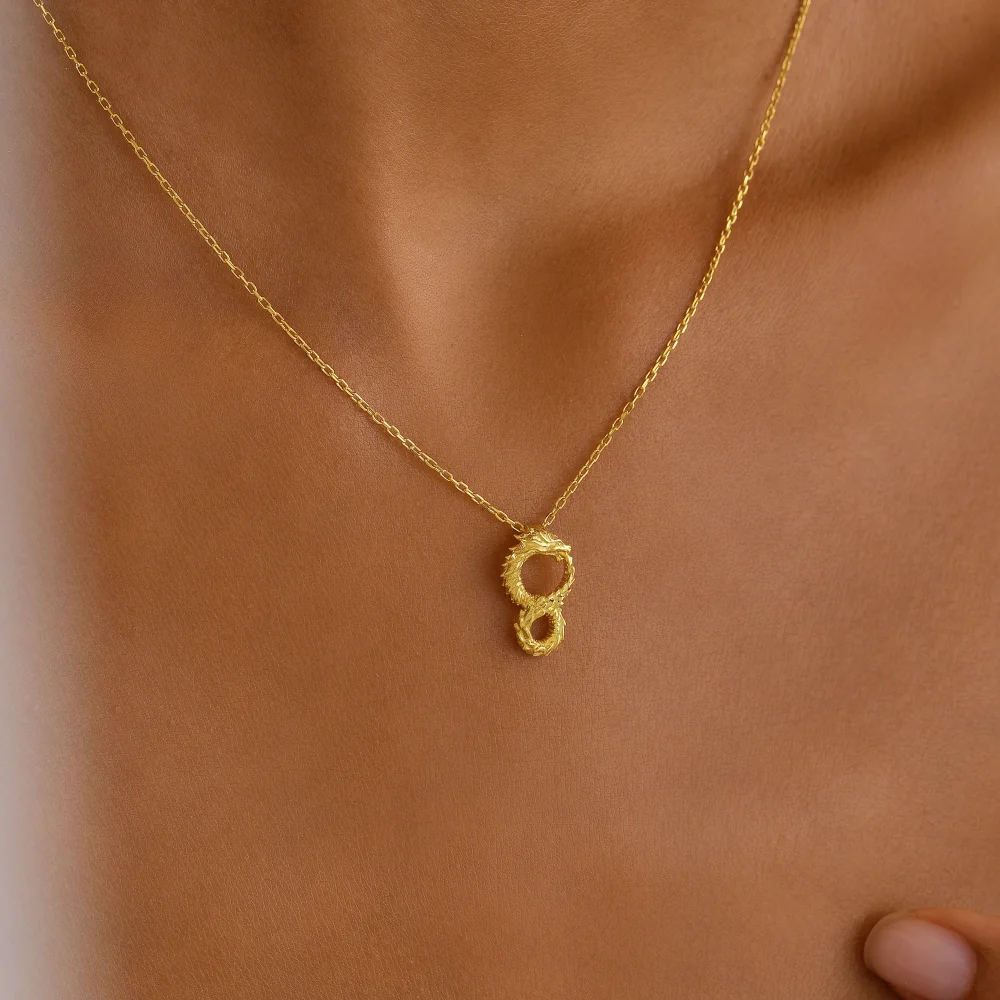 925 Ayar Gümüş Güç ve Sonsuzluk Sembolü Ejderha Kolye