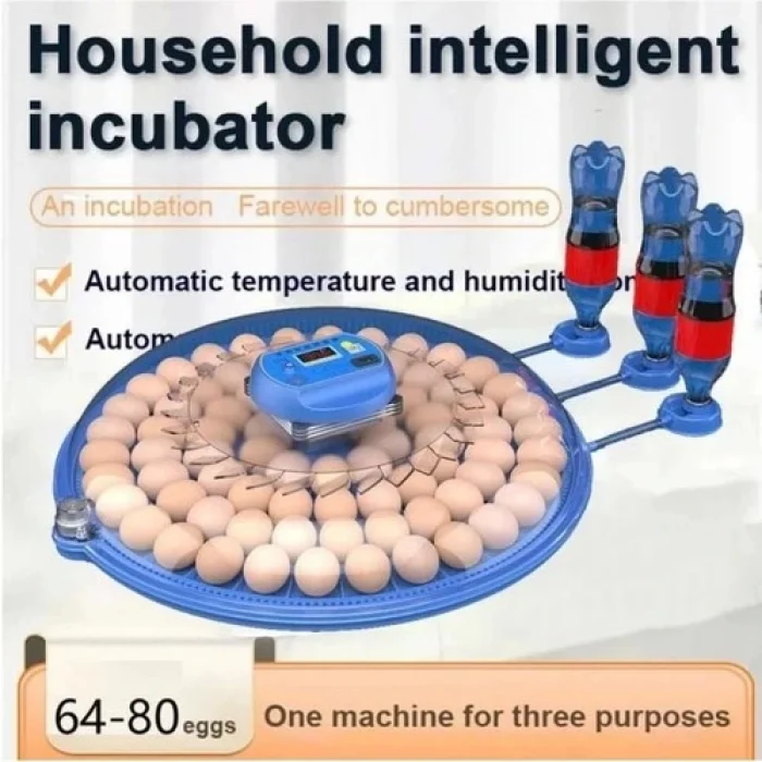 venüsshopping 80 Yumurta Kapasiteli Otomatik Çiftlik Kuluçka Makinesi : Yumurta, Bıldırcın, Civciv ve Kanatlılar Için Mz-80