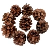 Dekoratif Çam Kozalak Süs - 250gr -