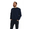 Erkek Bisiklet Yaka Regular Kalıp Logolu Sweatshirt Lacivert