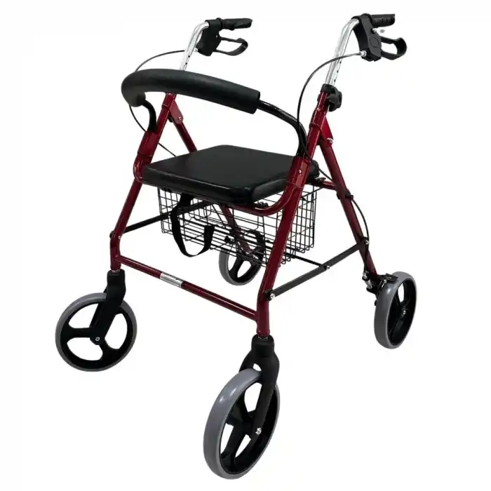 Poylin P580 Ekonomik Rollatör