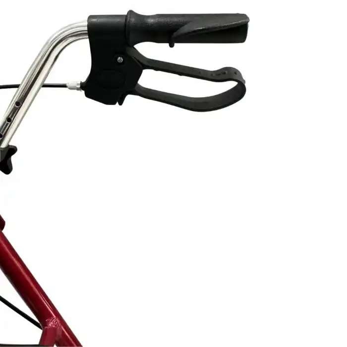 Poylin P580 Ekonomik Rollatör