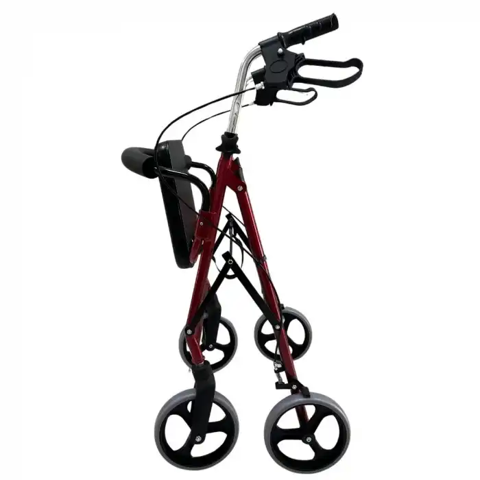 Poylin P580 Ekonomik Rollatör