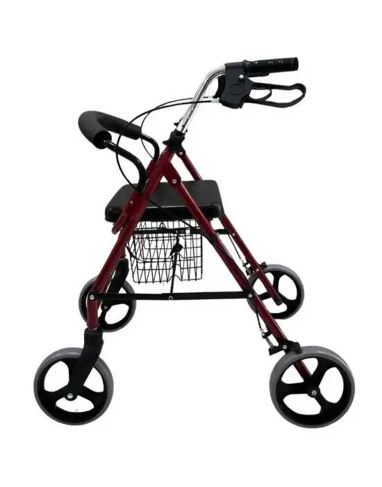 Poylin P580 Ekonomik Rollatör