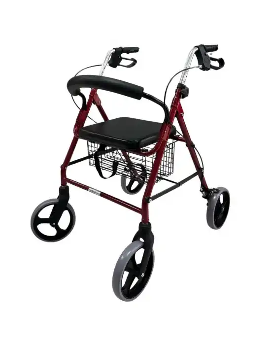 Poylin P580 Ekonomik Rollatör