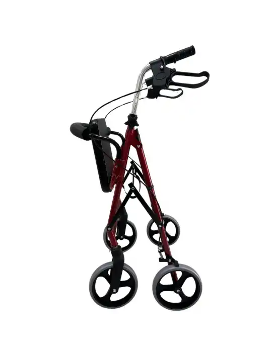 Poylin P580 Ekonomik Rollatör