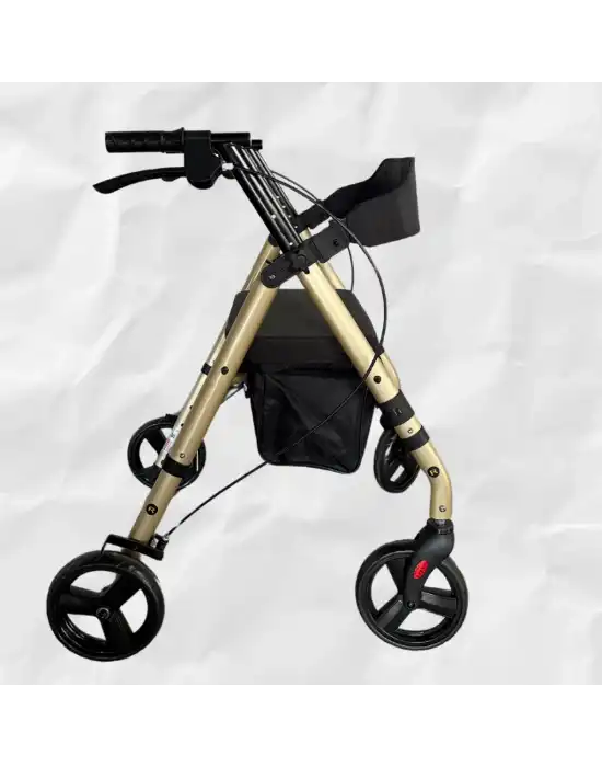 Poylin P581 Ekonomik Rollatör