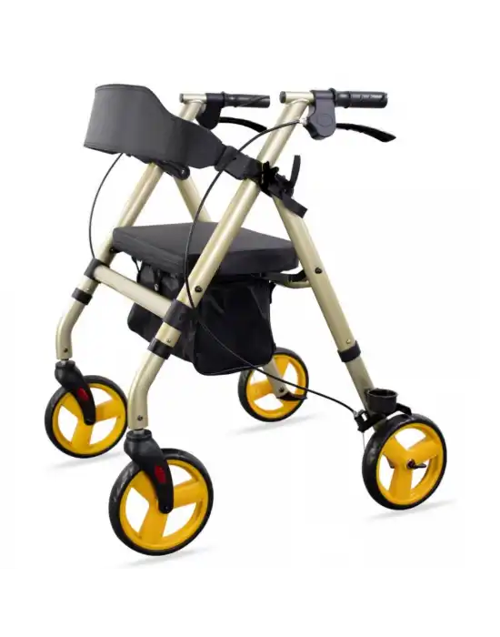 Poylin P581 Ekonomik Rollatör